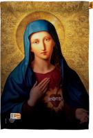 Sacred Heart Of Mary House Flag