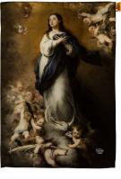 Immaculate Conception House Flag