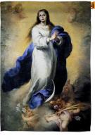 The Immaculate Conception House Flag