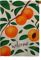 Welcome Apricot House Flag