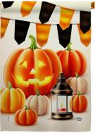 Halloween Lantern House Flag