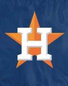 Houston Astros Flags