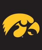 Iowa Hawkeyes Flags