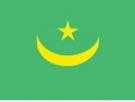 2\' x 3\' Mauritania flag