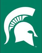 Michigan State Spartans Flags