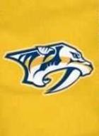 Nashville Predators Flags