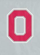 Ohio State Buckeyes Flags