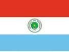 2\' x 3\' Paraguay flag