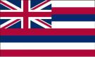 4\' x 6\' Hawaii State High Wind, US Made Flag