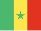 2\' x 3\' Senegal flag