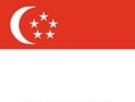 2\' x 3\' Singapore flag