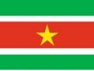 2\' x 3\' Suriname flag