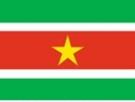 2\' x 3\' Suriname flag