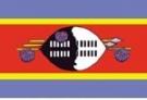 2\' x 3\' Swaziland flag