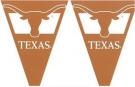 Texas Party Pennant Flag Set (25')