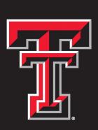 Texas Tech Red Raiders Flags