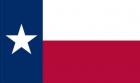 Texas Applique Flags