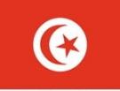 2\' x 3\' Tunisia flag