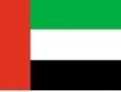 2\' x 3\' United Arab Emirates flag