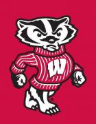 Wisconsin Badgers Flags