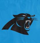 Carolina Panthers Flags