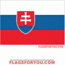 2x3 Slovakia flag